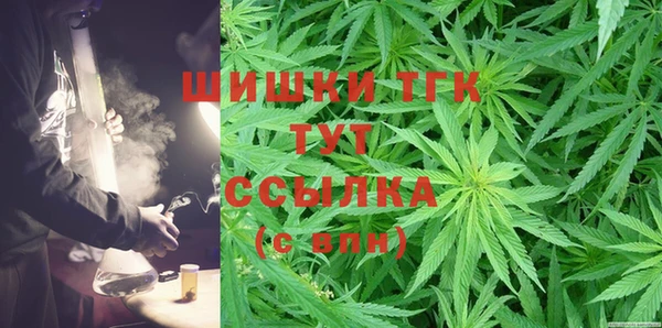 сатива Нягань