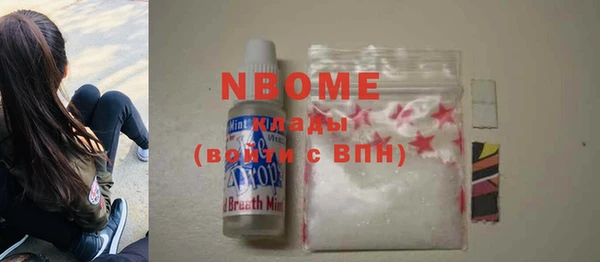 эйфоретик Няндома