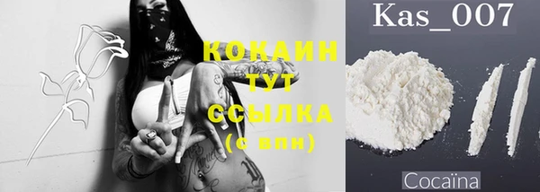 сатива Нягань