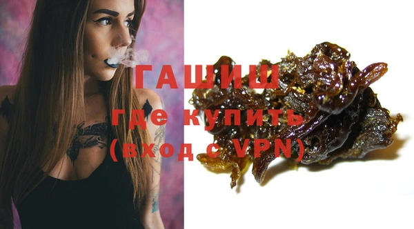 эйфоретик Няндома