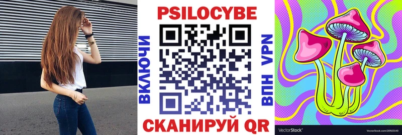 Псилоцибиновые грибы Psilocybe  Купить где  Чусовой 